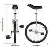 20in Wheel Unicycle Chrome
