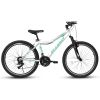 A24208 Ecarpat 24 Inch Mountain Bike, 21-Speed V-Brake, Front Suspension, Carbon Steel Frame Mountain Bike For Teenagers Girls Women Bicycles