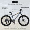 24 Inch Fat Tire Bike Adult/Youth Full Shimano 7 Speeds Mountain Bike, Dual Disc Brake, High-Carbon Steel Frame, Front Suspension, Mountain Trail Bike